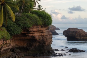 Why Is Canggu So Popular? A Guide to Bali’s Trendiest Destination