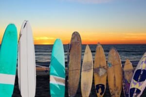 Surfboard for Your Level: How to Choose the Right one!