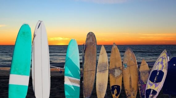 Surfboard for Your Level: How to Choose the Right one!