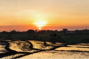 Is Canggu Worth Visiting?