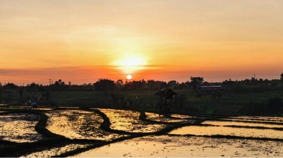 Is Canggu Worth Visiting?