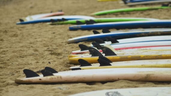 Surfboard for Intermediates: Choosing the Best Board