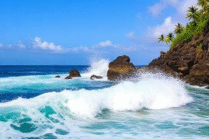 Bali Reef Breaks: What Every Surfer Should Know Before Paddling Out