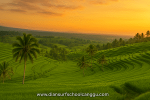 Tabanan Bali Things to Do: Explore Nature, Culture & Hidden Gems