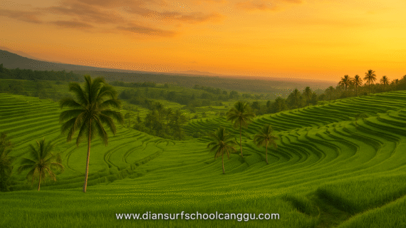 Tabanan Bali Things to Do: Explore Nature, Culture & Hidden Gems