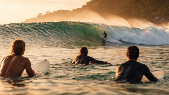 From Beginner To Surfer In One Lesson