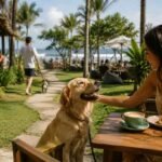 Pet friendly Cafes and Parks in Canggu