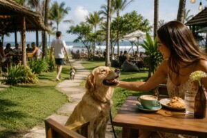 Pet friendly Cafes and Parks in Canggu