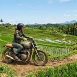 Which Local Companies Provide Guided Motorbike Tours Around Canggu