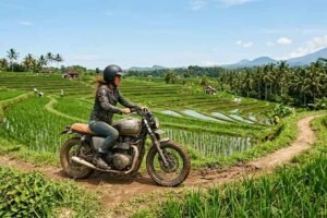 Which Local Companies Provide Guided Motorbike Tours Around Canggu